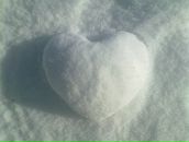 Фотография Львовой Натальи