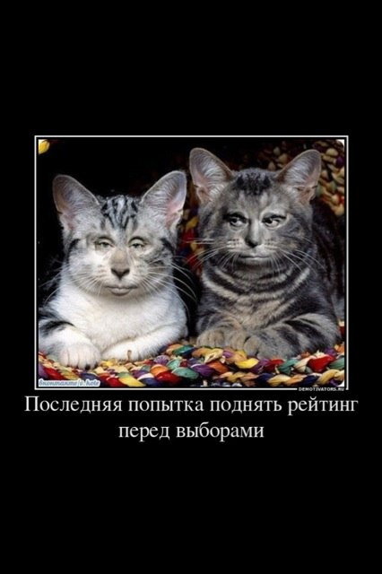 Дмитрий Золотавин фотография #15