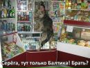 Євген Дмитришин фотография #20 (источник - https://vk.com/id161115809)