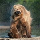 Фотография Хрусталёвой Ольги