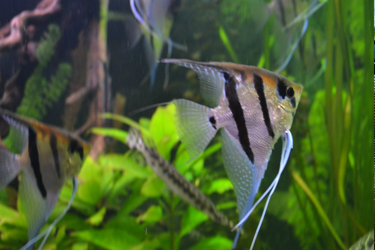 Иван Сотников фотография #36