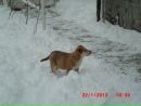 Патрік Гранілло фотография #13 (источник - https://vk.com/id155066041)