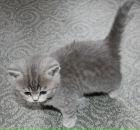 Фотография Овчинникова Дмитрия