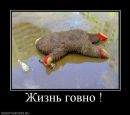 Андрій Гатала фотография #3 (источник - https://vk.com/id91883582)