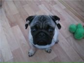 Фотография Ливенцевой Елены