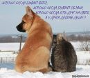 Еля Мусіхіна фотография #20 (источник - https://vk.com/id144890361)