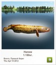 Міша Мельничук фотография #43 (источник - https://vk.com/id156132558)
