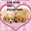 Катя Завістовська фотография #11 (источник - https://vk.com/id10250752)