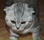 Фотография Мосалёва Сергея