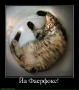 Ігор Зубенко фотография #26 (источник - https://vk.com/id1185620)
