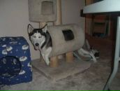 Андрій Чернушич фотография #11 (источник - https://vk.com/id30554281)