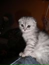 Фотография Ксения Фадеева