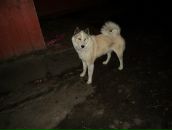 Валентин Філоненко фотография #24 (источник - https://vk.com/id112401643)