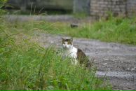 Константин Басалаев фотография #39 (источник - https://vk.com/id257097)