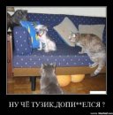 Дмитрий Астафьев фотография #14 (источник - https://vk.com/id1955157)