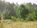 Сергій Бугай фотография #3 (источник - https://vk.com/id60226320)