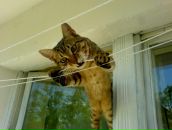 Ігор Хасанянов фотография #48 (источник - https://vk.com/id88704009)