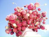 Фотография Валиевой Гузель