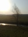 Вікторія Медулич фотография #12 (источник - https://vk.com/id9774606)