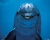 Фотография Чижовой Светланы