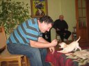 Тіамо Лабрадор фотография #33 (источник - https://vk.com/id47446151)