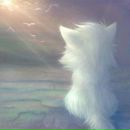 Фотография Куимова Александра