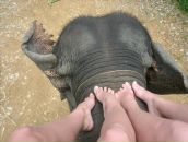 Фотография Черкасской Юлии