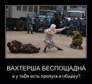 Міша Обраян фотография #47 (источник - https://vk.com/id64602304)