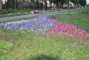 Илья Улусой фотография #33 (источник - https://vk.com/id24861905)