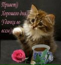 Ангелінка Сличко фотография #9 (источник - https://vk.com/id212194387)