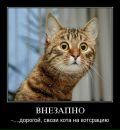 Катюша Іваніцка фотография #20 (источник - https://vk.com/id140045898)
