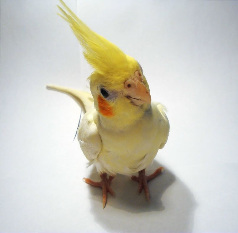 Ольга Мамзерова фотография #16