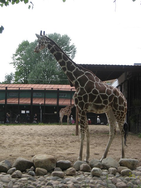 Ирина Мальцева фотография #38