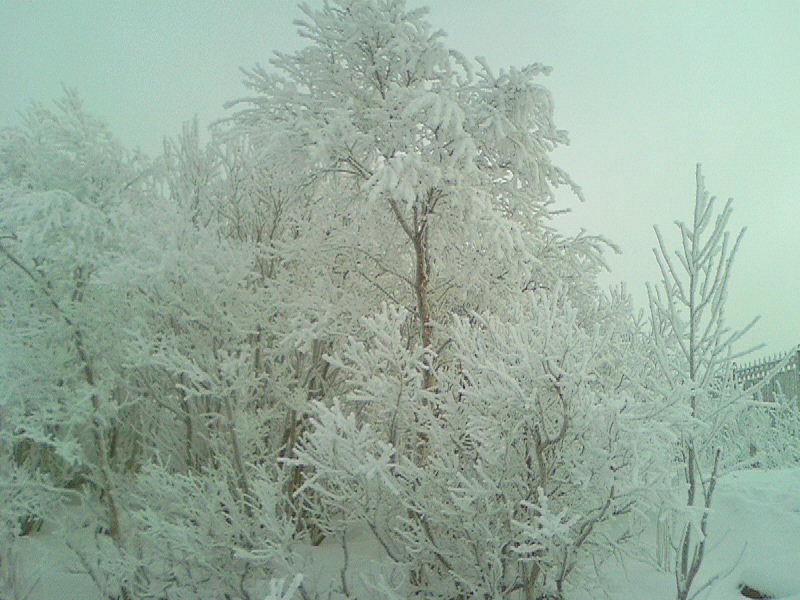 Иван Л фотография #38