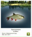 Іван Гнідець фотография #8 (источник - https://vk.com/id113923451)