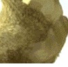№4, Ольга Фролова, Тверь №4, Ольга Фролова, Тверь