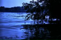 Ирина Сорокина фотография #45 (источник - https://vk.com/id271659)