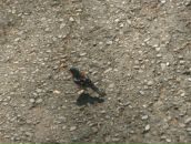 Маріна Харина фотография #34 (источник - https://vk.com/id128495397)