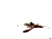 Фотография Николая Белова