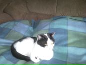 Фотография Гусенко Татьяны