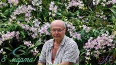 Фотография Соломянко Александра