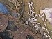 Інночка Киця фотография #34 (источник - https://vk.com/id133246853)