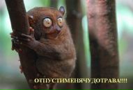 Top Sekret фотография #49 (источник - https://vk.com/id2406224)