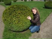 Фотография Афанасьевой Евгении