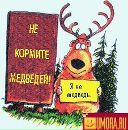 Фотография Беспаловой Юны