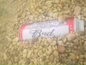 Дмитрий Цой фотография #17 (источник - https://vk.com/id1336740)