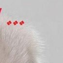 Олексій Карлов фотография #30 (источник - https://vk.com/id154805459)