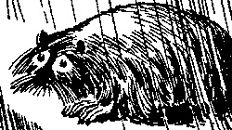 Фотография Татьяны Татьяны