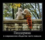 Николай Бердников фотография #47 (источник - https://vk.com/id1941204)