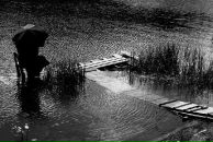 Фотография Агеевой Алеси